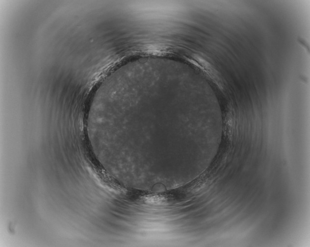 X0000102490500200808291652