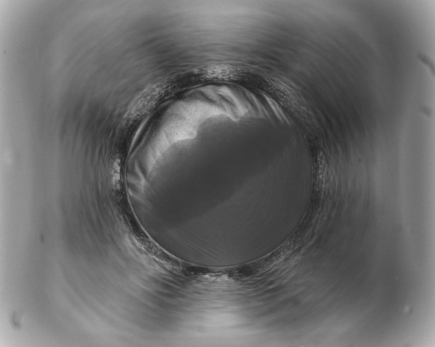 X0000102490502200808291652