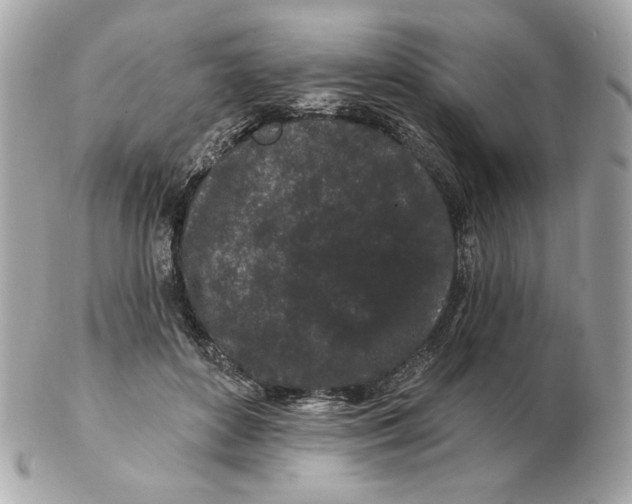 X0000102490504200808291652