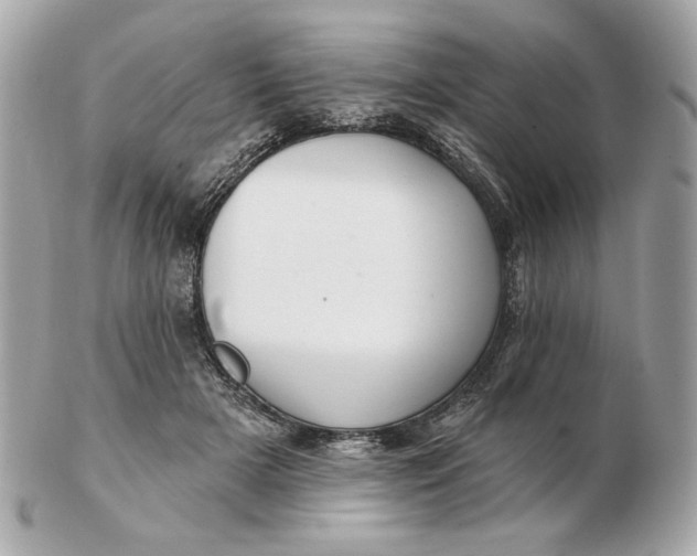 X0000102490505200808291652