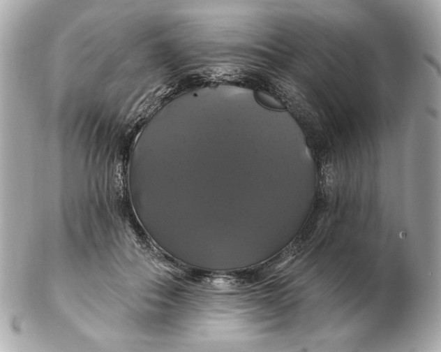 X0000102490506200808291652