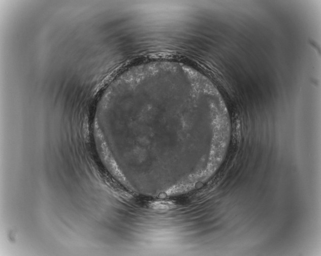 X0000102490508200808291652