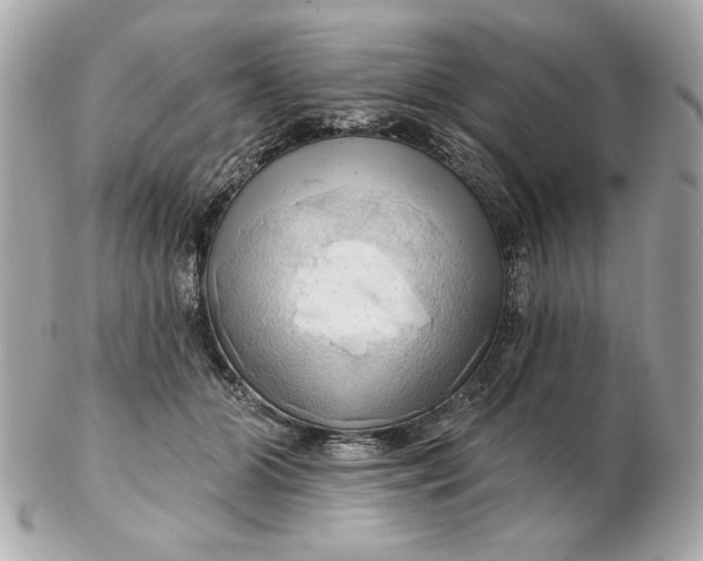 X0000102490510200808291652