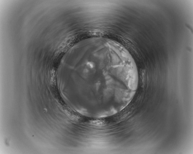 X0000102490511200808291652