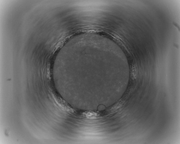 X0000102490512200808291652