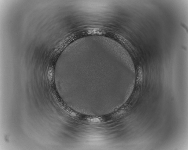 X0000102490513200808291652