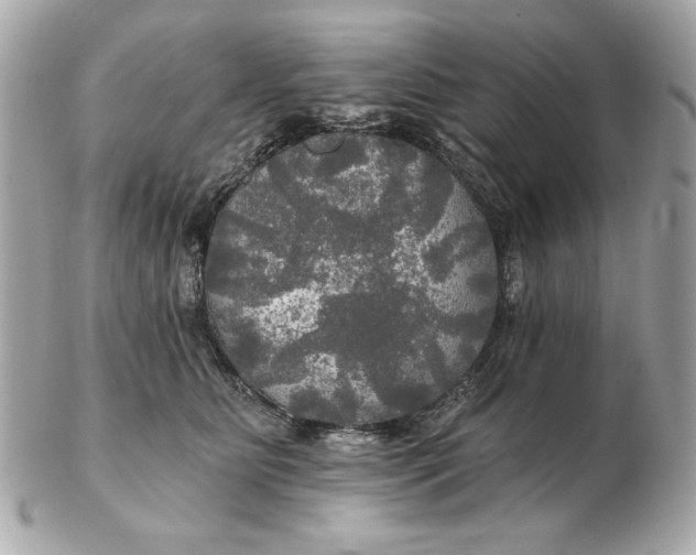 X0000102490515200808291652