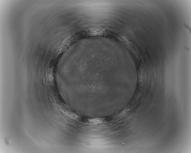 X0000102490516200808291652