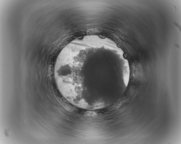 X0000102490519200808291652