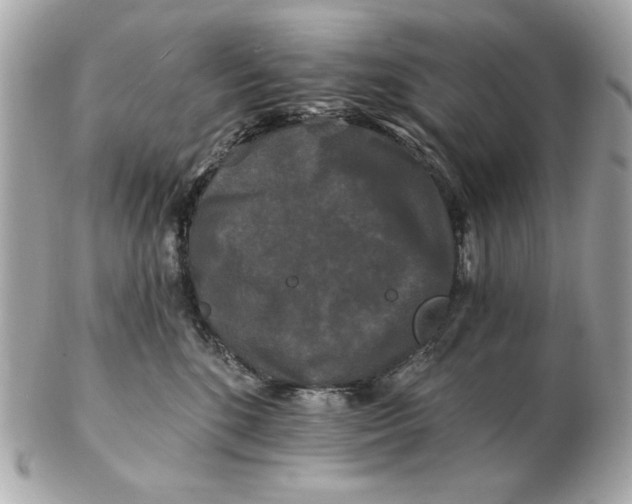 X0000102490520200808291652