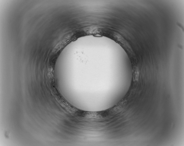 X0000102490521200808291652