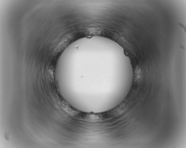 X0000102490522200808291652