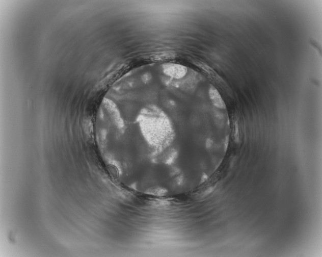 X0000102490523200808291652