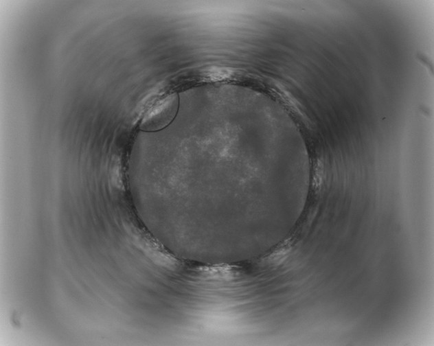 X0000102490524200808291652