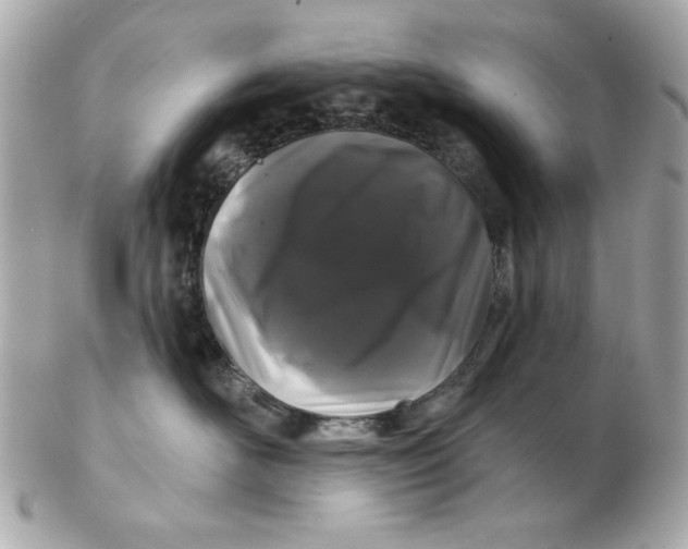 X0000102490526200808291652