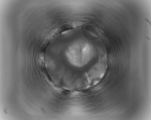 X0000102490527200808291652