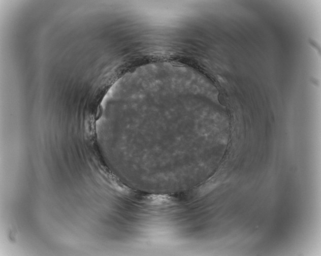 X0000102490528200808291652