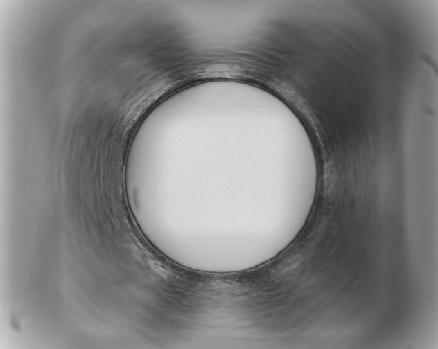 X0000102490529200808291651