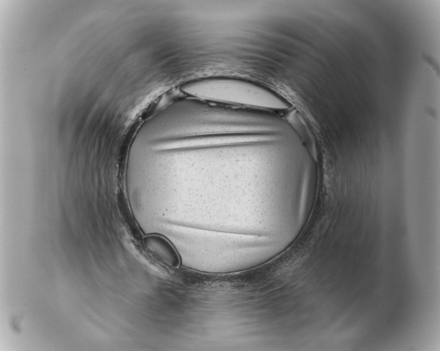 X0000102490530200808291651