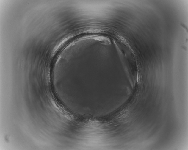 X0000102490531200808291651