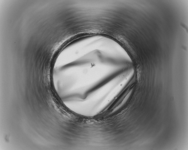 X0000102490532200808291651