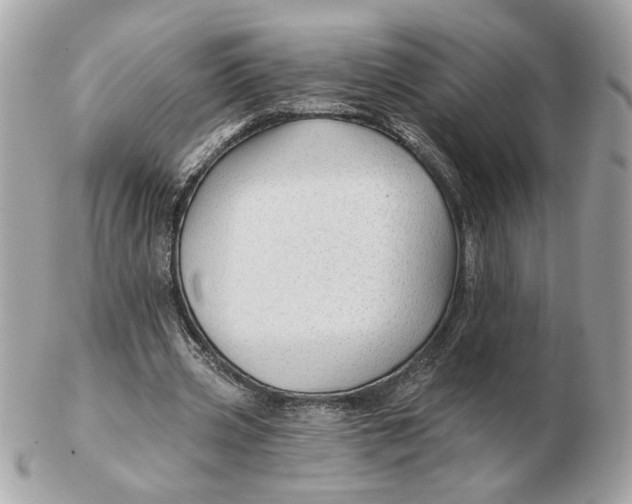 X0000102490533200808291651