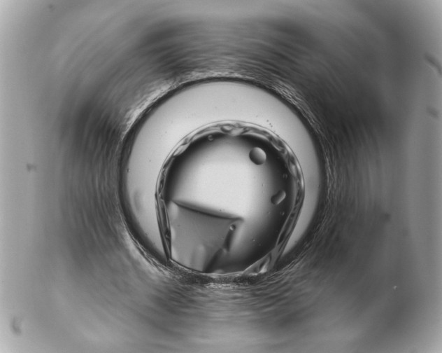 X0000102490534200808291651