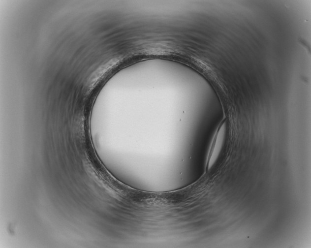 X0000102490535200808291651