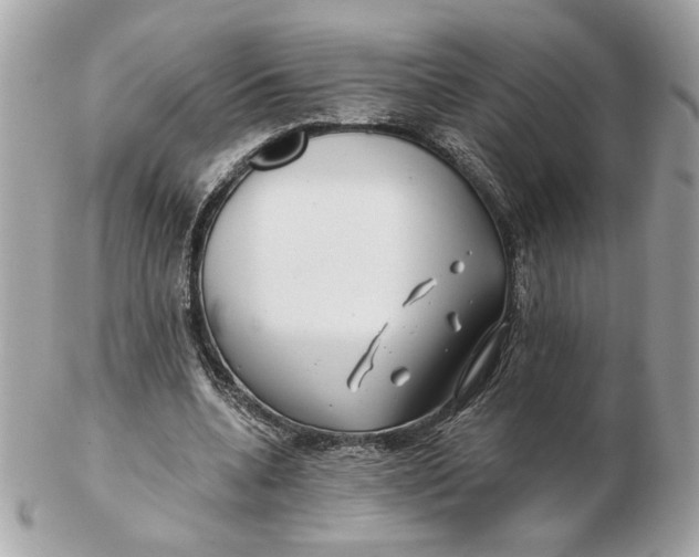 X0000102490536200808291651