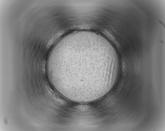 X0000102490537200808291651