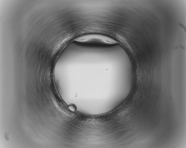 X0000102490538200808291651