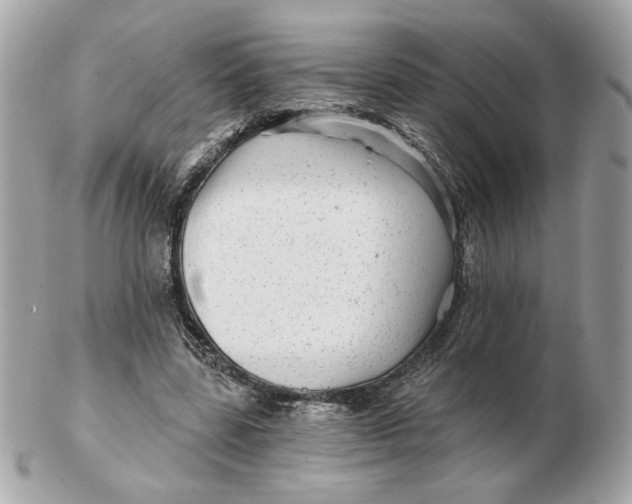 X0000102490539200808291651