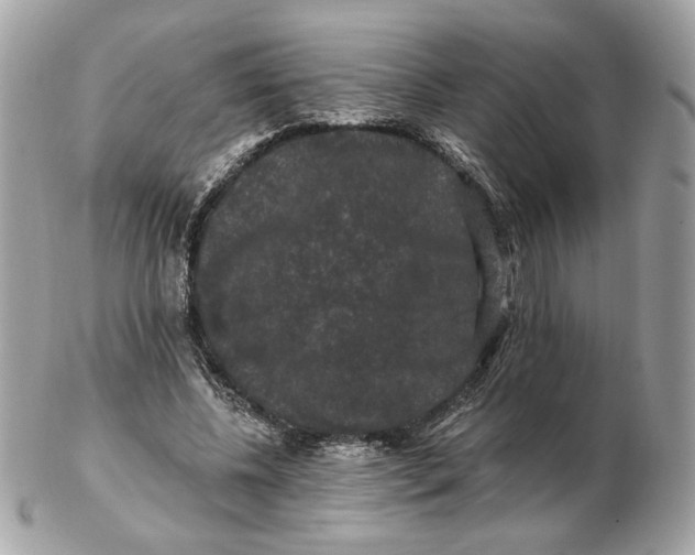 X0000102490540200808291651