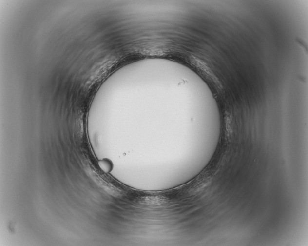 X0000102490541200808291651