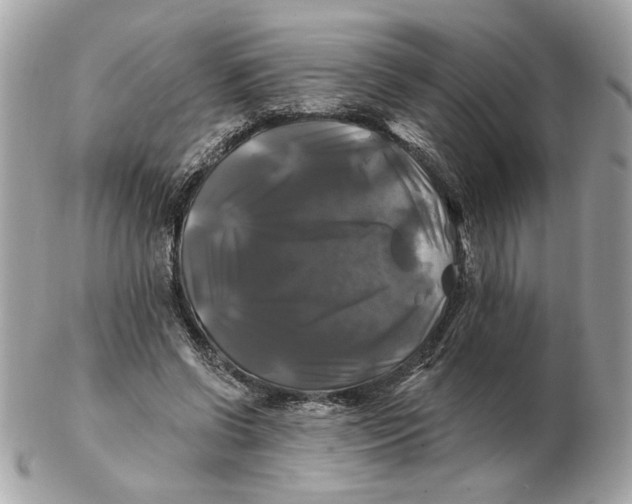 X0000102490542200808291651