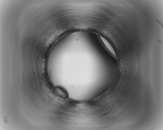 X0000102490544200808291651