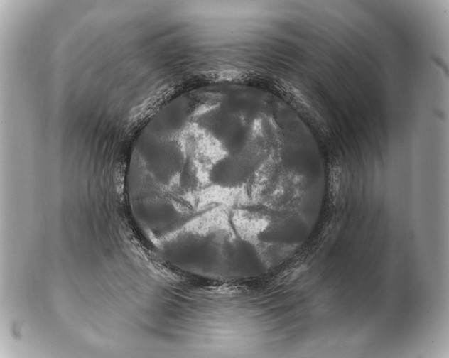 X0000102490545200808291651