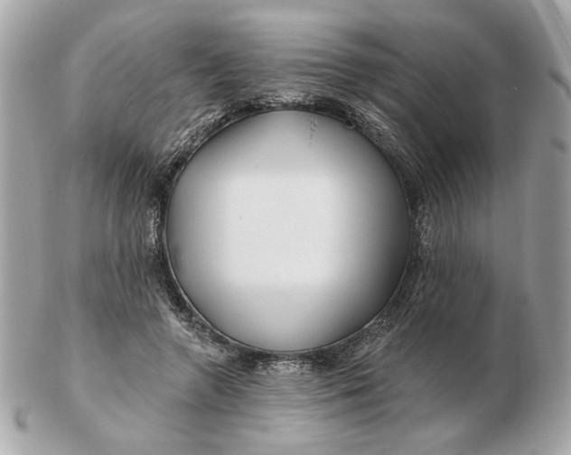 X0000102490546200808291651