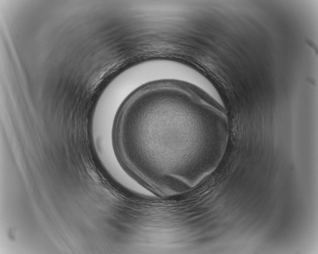 X0000102490547200808291652