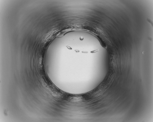 X0000102490548200808291652