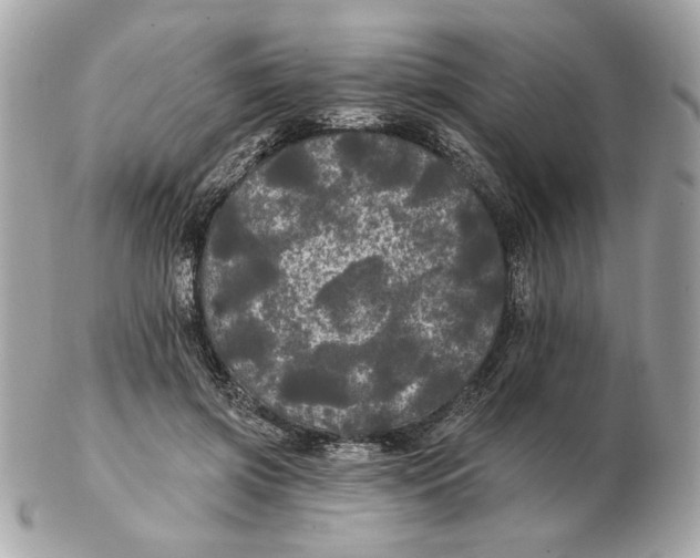 X0000102490549200808291652