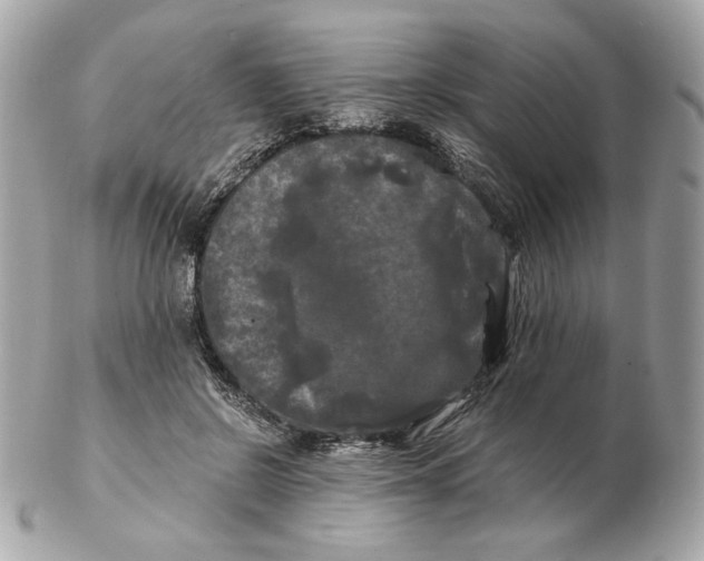 X0000102490550200808291652