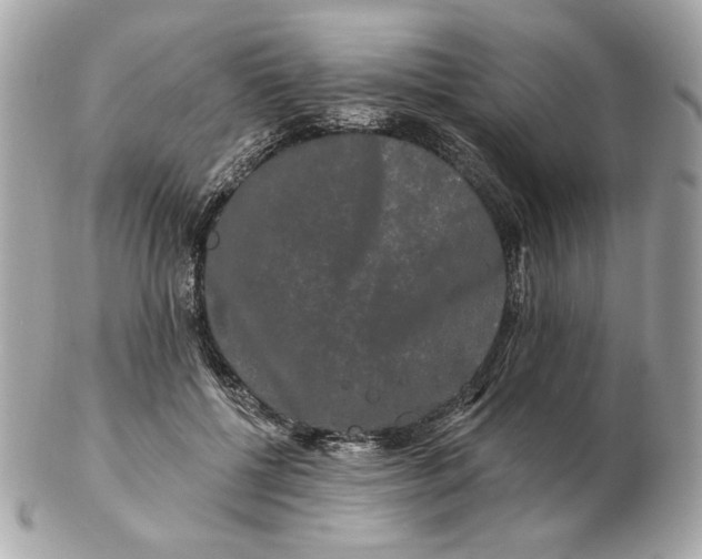 X0000102490552200808291652