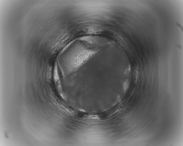 X0000102490554200808291652