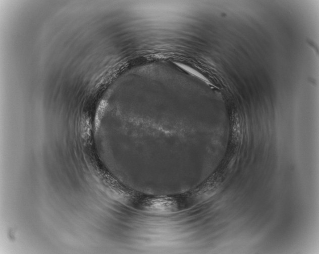 X0000102490555200808291652