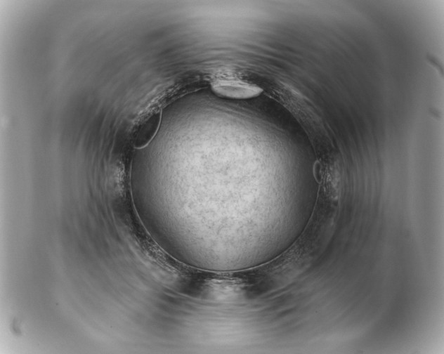 X0000102490556200808291652