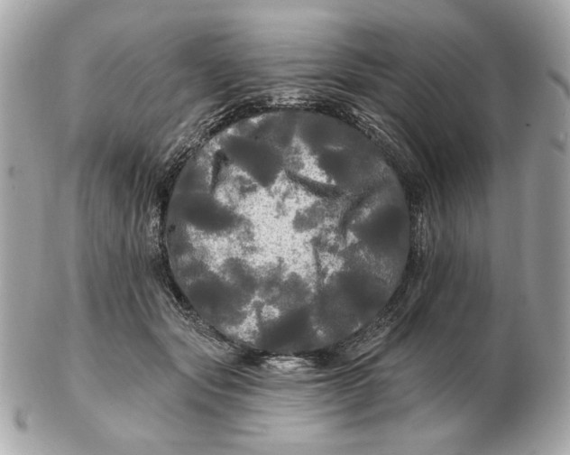 X0000102490557200808291652