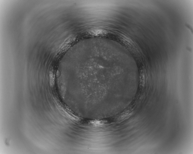 X0000102490558200808291652