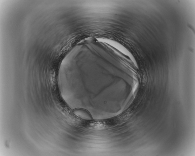 X0000102490559200808291652