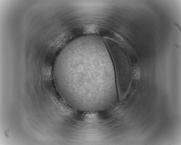 X0000102490560200808291652